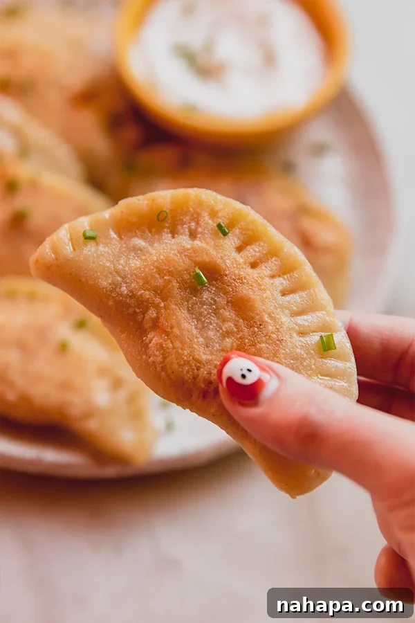 Gluten-Free Dairy-Free Pumpkin Ricotta Pierogies 4 A close-up photo of a single golden-brown pumpkin ricotta pierogie held gently in a hand, showcasing its perfectly crimped edges and delicious filling.