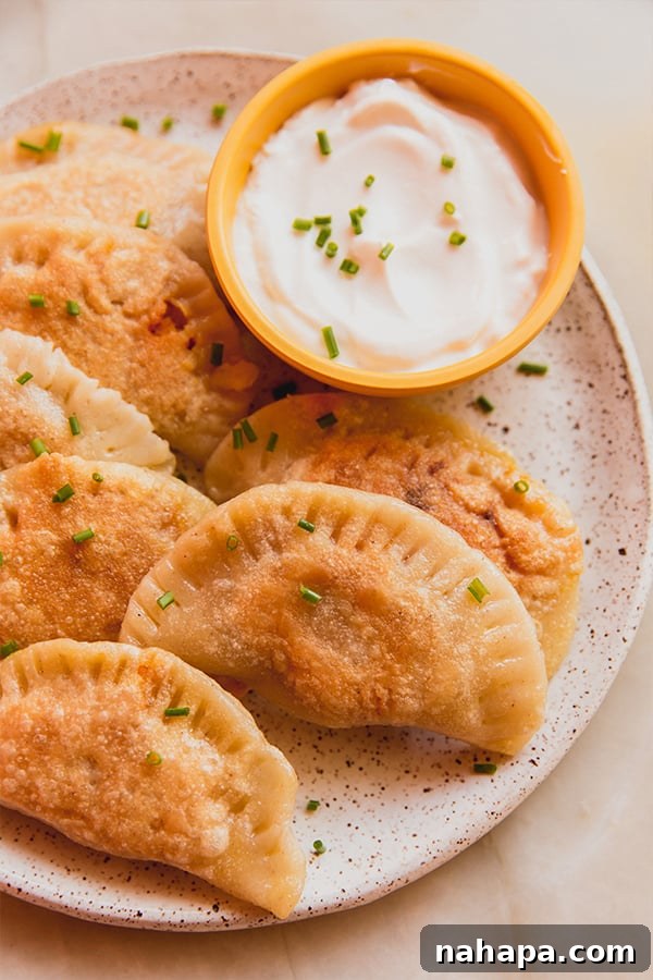 Homemade Pumpkin Ricotta Pierogies