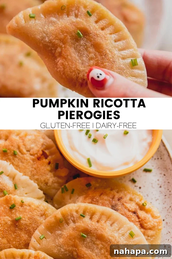 Gluten-Free Dairy-Free Pumpkin Ricotta Pierogies 6 A beautifully arranged plate of golden-brown pumpkin ricotta pierogies garnished with fresh herbs and a side of creamy dip, perfect for a festive meal.