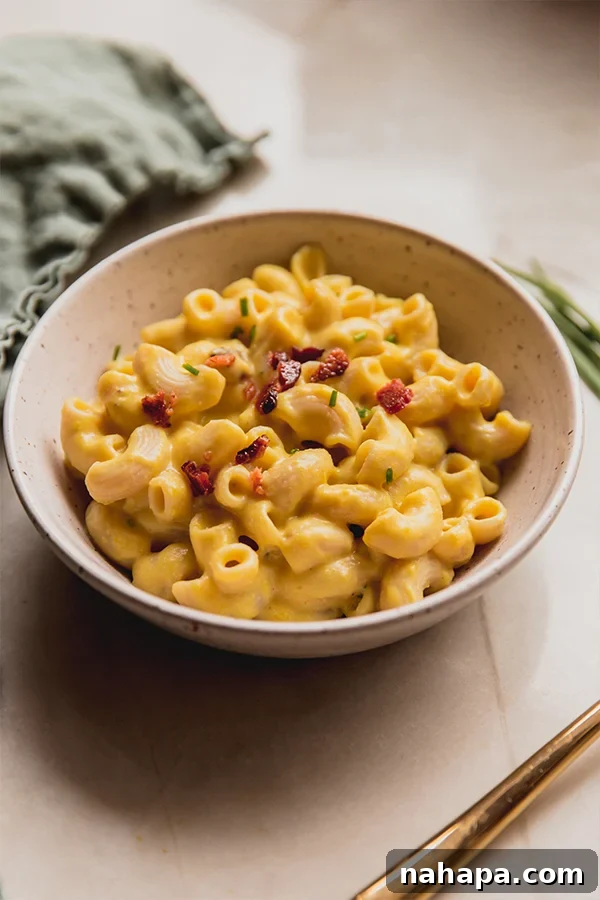 A close-up shot of a beautifully served bowl of dairy-free pumpkin mac and 
