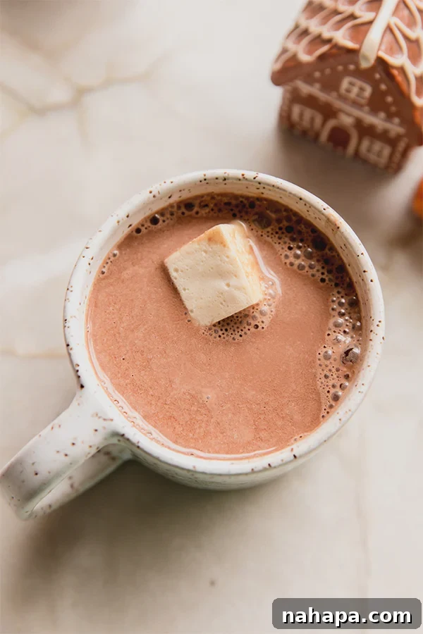 A cup of gingerbread hot cocoa with a marshmallow in it, ready to be enjoyed.