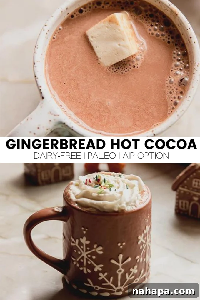 A festive image of Gingerbread Hot Cocoa.