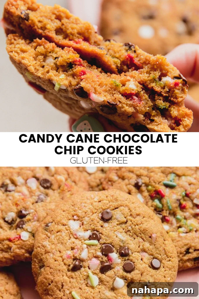 Peppermint Swirl Gluten-Free Chocolate Chip Cookies 7 A large graphic promoting Candy Cane Chocolate Chip Cookies.
