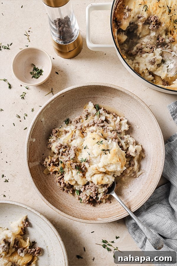 A generous serving of French onion shepherd's pie presented in a rustic bowl, garnished with fresh herbs, ready to be enjoyed.