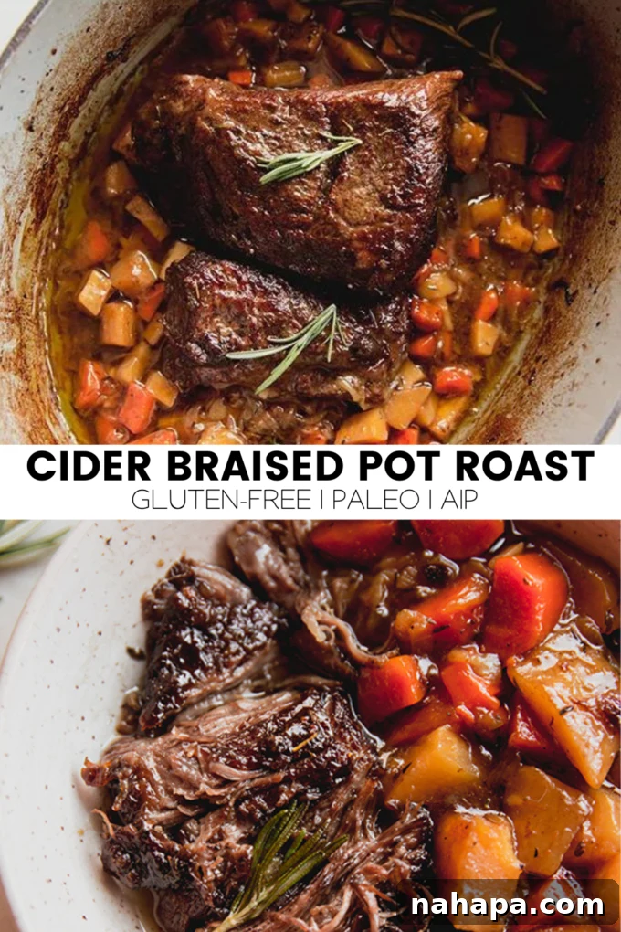 Tender Apple Cider Braised Beef 6 img 24391 7