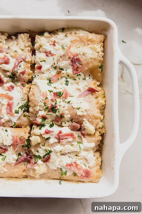 Chicken Alfredo Lasagna Roll Ups