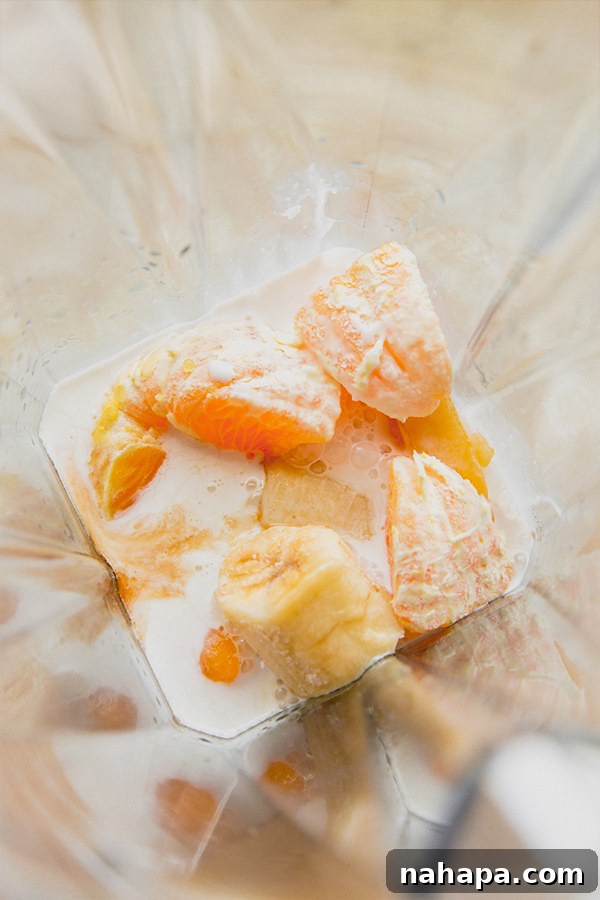 Wendy's Inspired Dairy-Free Creamsicle Frosty 4 The ingredients for a creamsicle frosty, including frozen fruits and sweet potato, are loaded into a blender, ready for blending into a smooth, creamy treat.