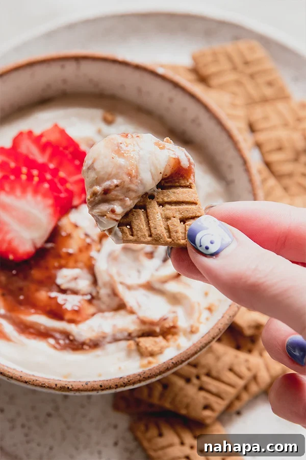 Close-up of Strawberry Cheesecake Dip with jam swirl