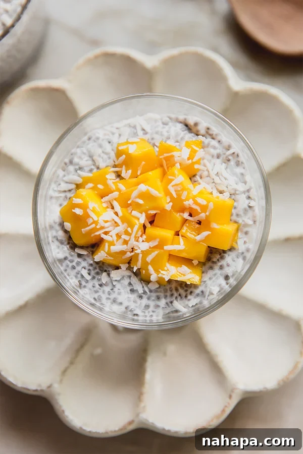 A single cup of mango sticky rice chia pudding, beautifully garnished, sits invitingly on a counter, ready to be enjoyed.