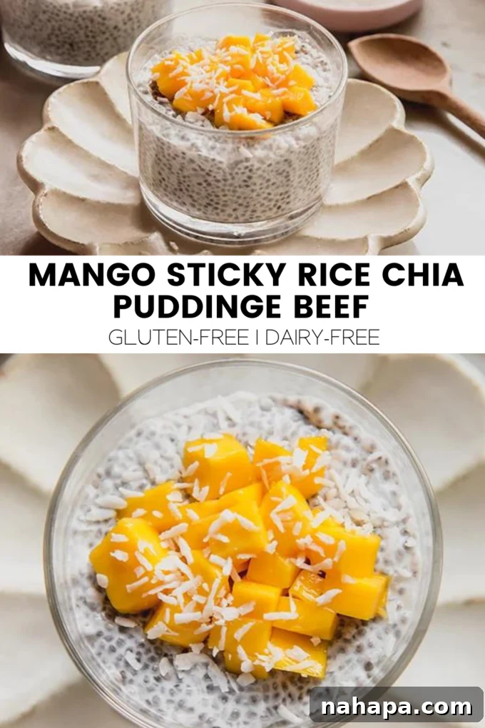 A beautifully presented, large image showcasing the completed Mango Sticky Rice Chia Pudding, emphasizing its appealing presentation and inviting textures.