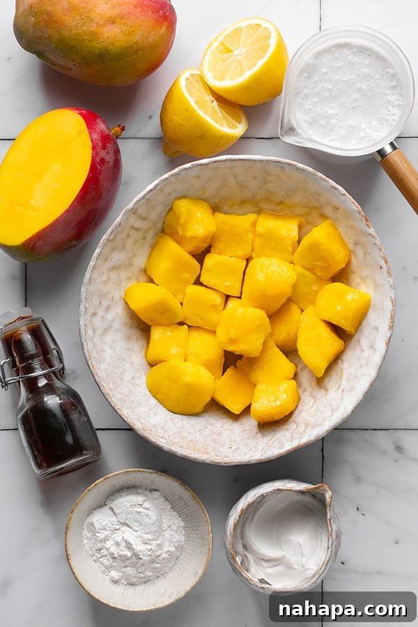 All the fresh ingredients for making mango pudding, including cubed mango, coconut milk, lemon, and vanilla, are neatly arranged on a white surface.