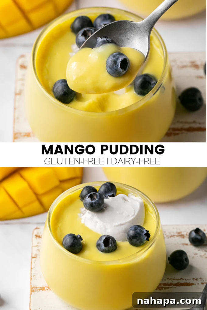 A vibrant, close-up shot of dairy-free mango pudding in a glass cup, topped with fresh fruit, showcasing its rich texture and appealing color.