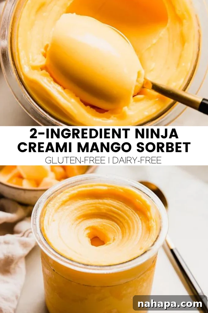 A final beautiful shot of the 2-Ingredient Ninja Creami Mango Sorbet, ready to be devoured.