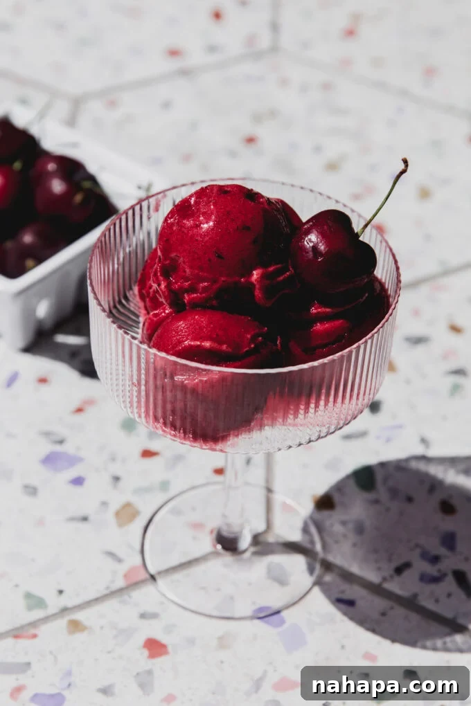 Ruby Temple Sparkle Sorbet 2 Bright red cherry Shirley Temple sorbet in a glass with fresh cherries on top, set against a light background.