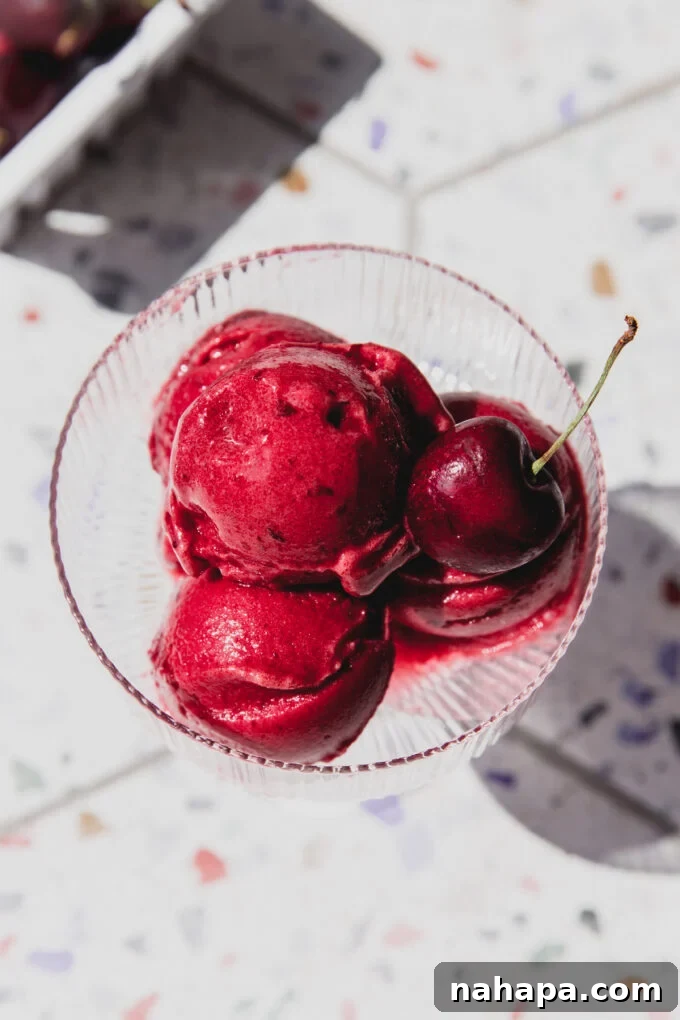 Ruby Temple Sparkle Sorbet 3 A close-up shot of a creamy, red cherry Shirley Temple sorbet with a spoon, garnished with fresh cherries.
