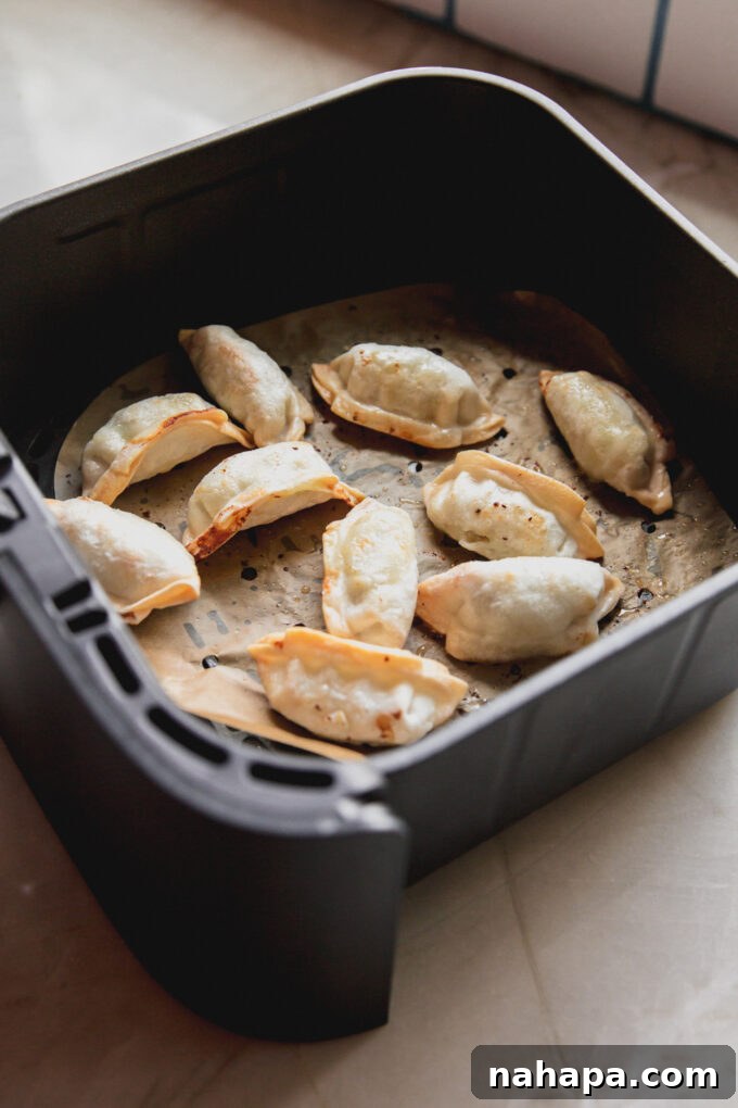 Gluten free dumplings cooked to a golden crisp in an air fryer, showing their perfectly browned exterior.