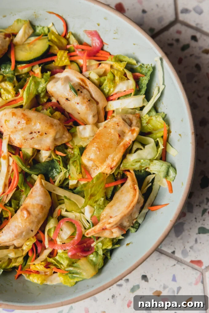 A large blue bowl filled with the finished potsticker salad, featuring crispy dumplings, mixed greens, and a drizzle of dressing.