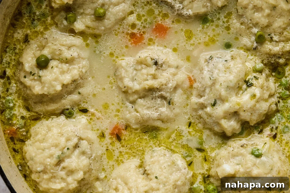 A bowl of cooked gluten-free chicken and dumplings, garnished with fresh herbs.