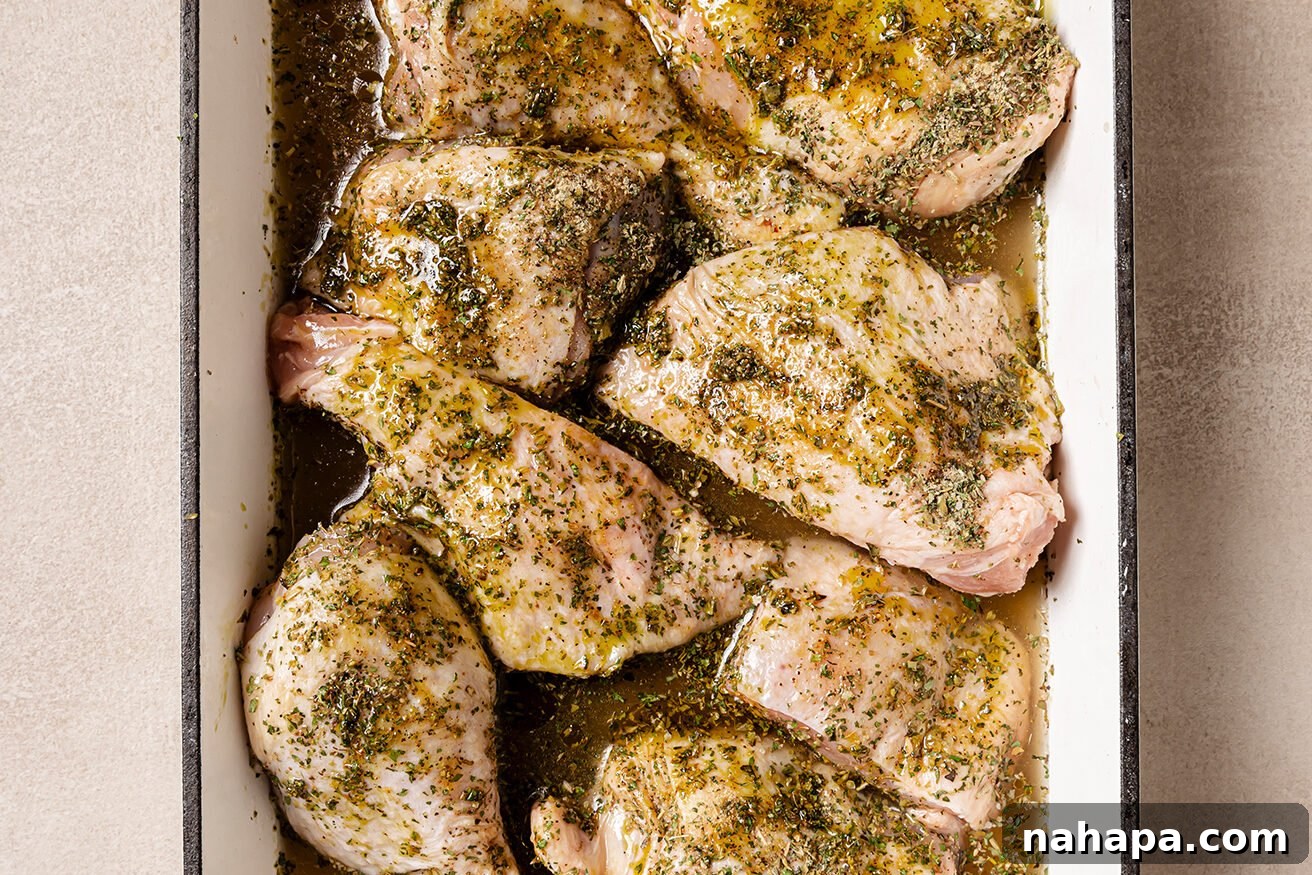 Raw turkey wings in a baking dish with chicken broth.