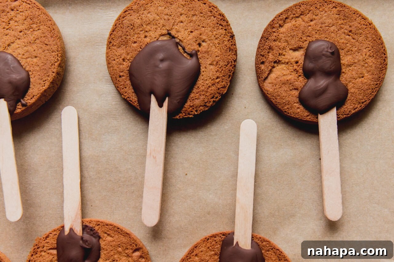 Gingerbread cookies with melted chocolate applied to their backs, holding popsicle sticks in place.