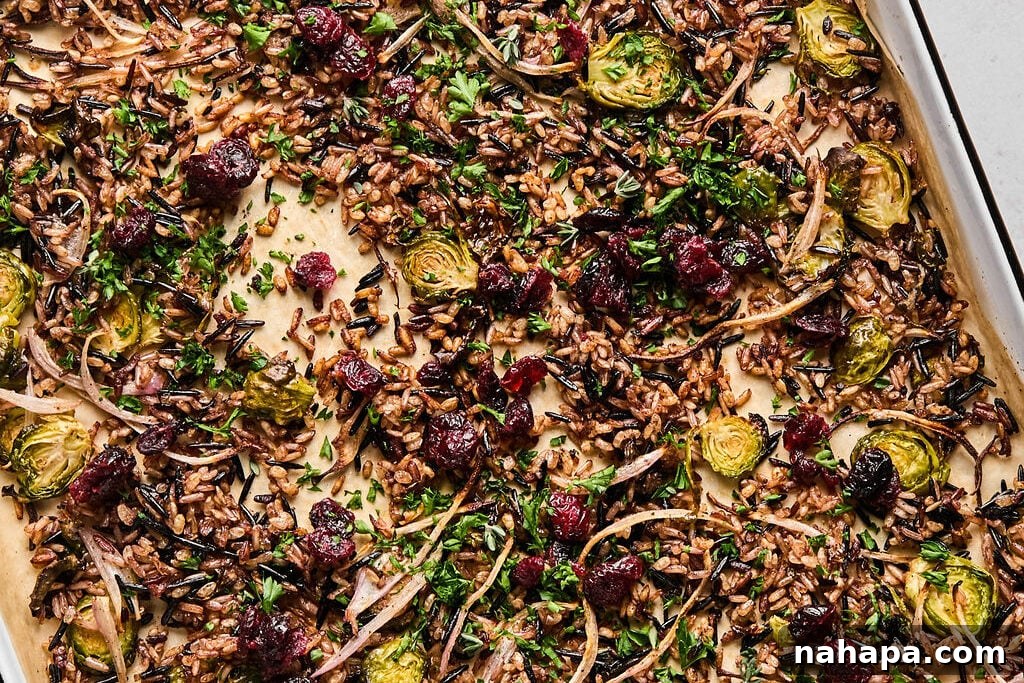 Cooked wild rice pilaf on a baking sheet with added dried cranberries and chopped herbs.
