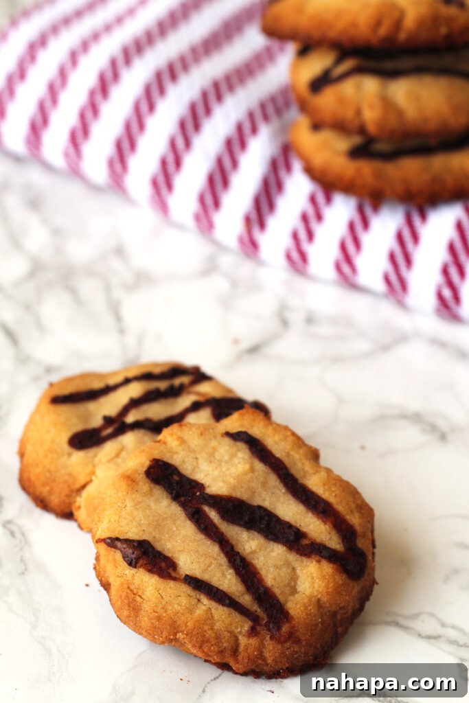 Nourishing Paleo and AIP Collagen Protein Cookies 4 Collagen Protein Cookies (Paleo & AIP)