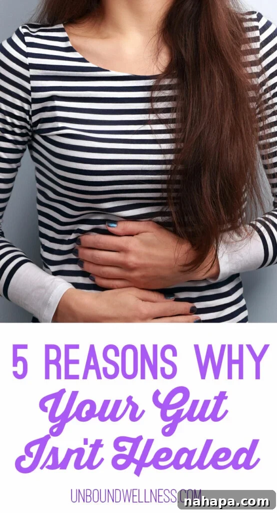 Breaking the Gut Healing Stalemate: What You're Missing 2 5 Reasons Why Your Leaky Gut Still Isn't Healed
