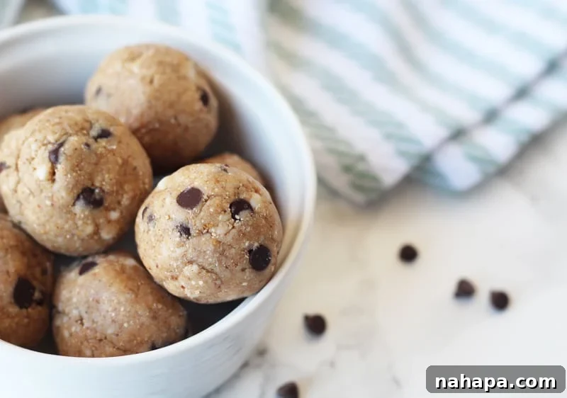 Wholesome AIP Paleo Nut-Free No-Bake Cookie Dough Treats 2 No-Bake Cookie Dough Bites: A Deliciously Healthy, AIP, Paleo, Nut-Free, and Gluten-Free Treat