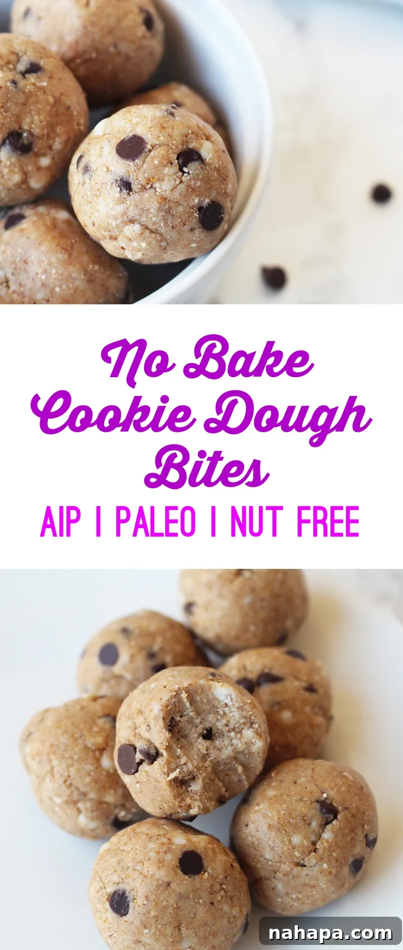 Wholesome AIP Paleo Nut-Free No-Bake Cookie Dough Treats 3 Raw Cookie Dough Bites (AIP, Paleo, Gluten-Free)