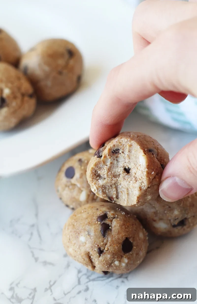 Wholesome AIP Paleo Nut-Free No-Bake Cookie Dough Treats 5 No Bake Cookie Dough (AIP, Paleo) - A Perfect Healthy Snack