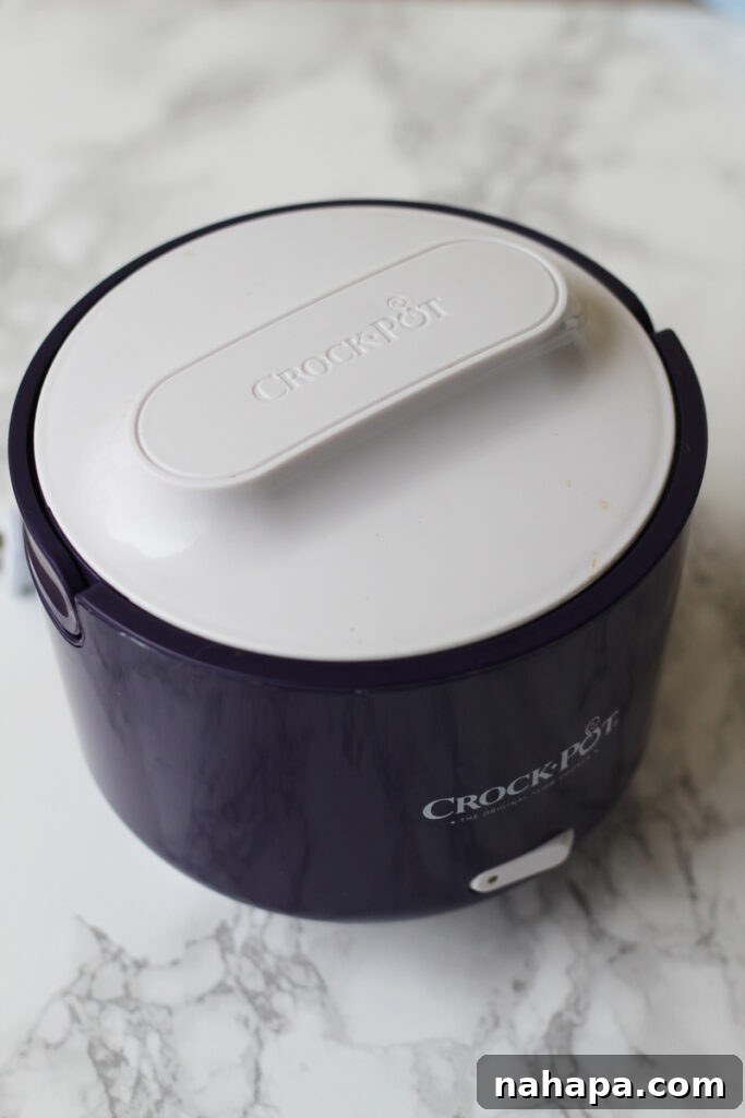 A crockpot sealed on the counter, ready to heat a meal.