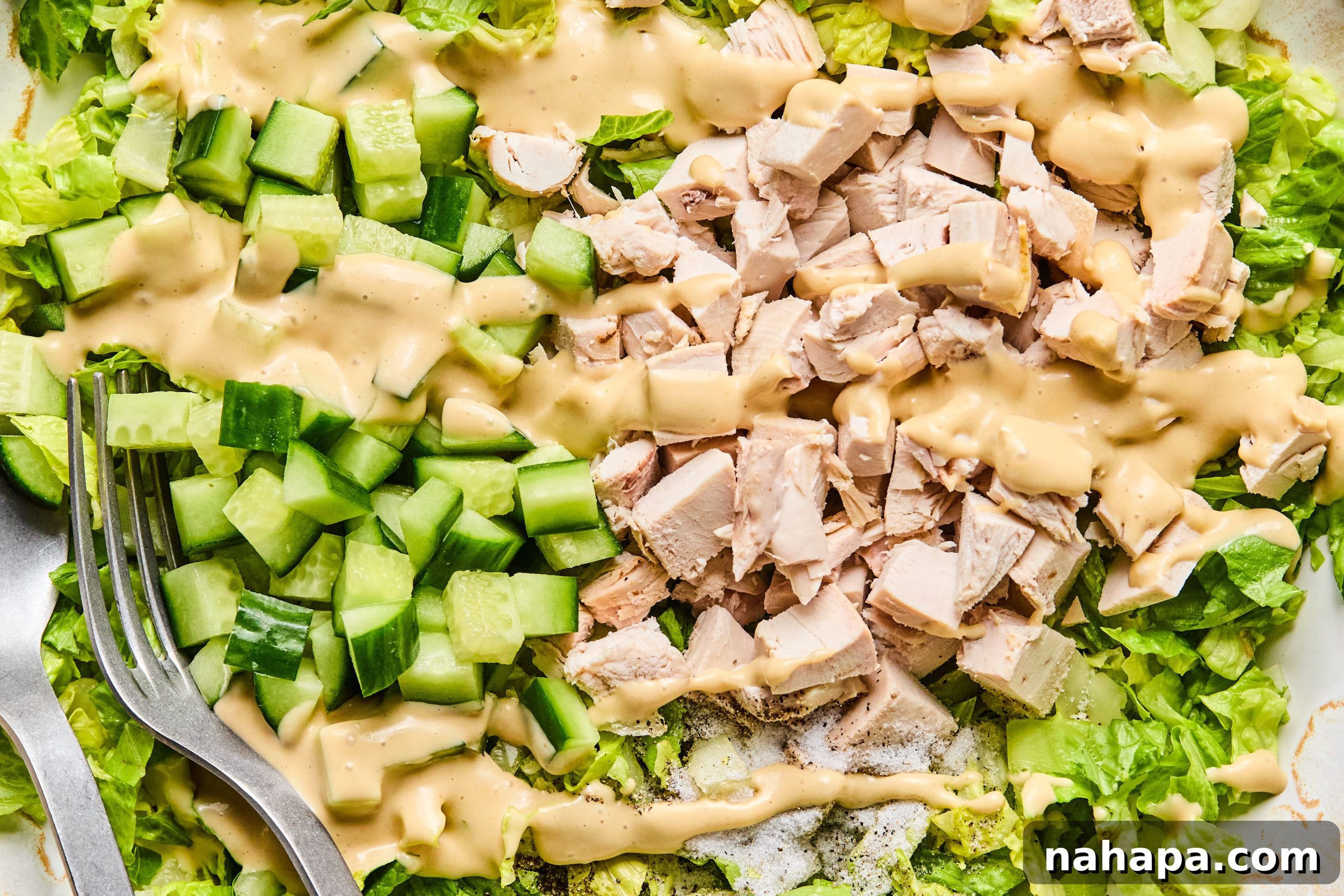 Chicken Caesar Summer Rolls 7 The chicken caesar salad with dressing poured on top before mixing.