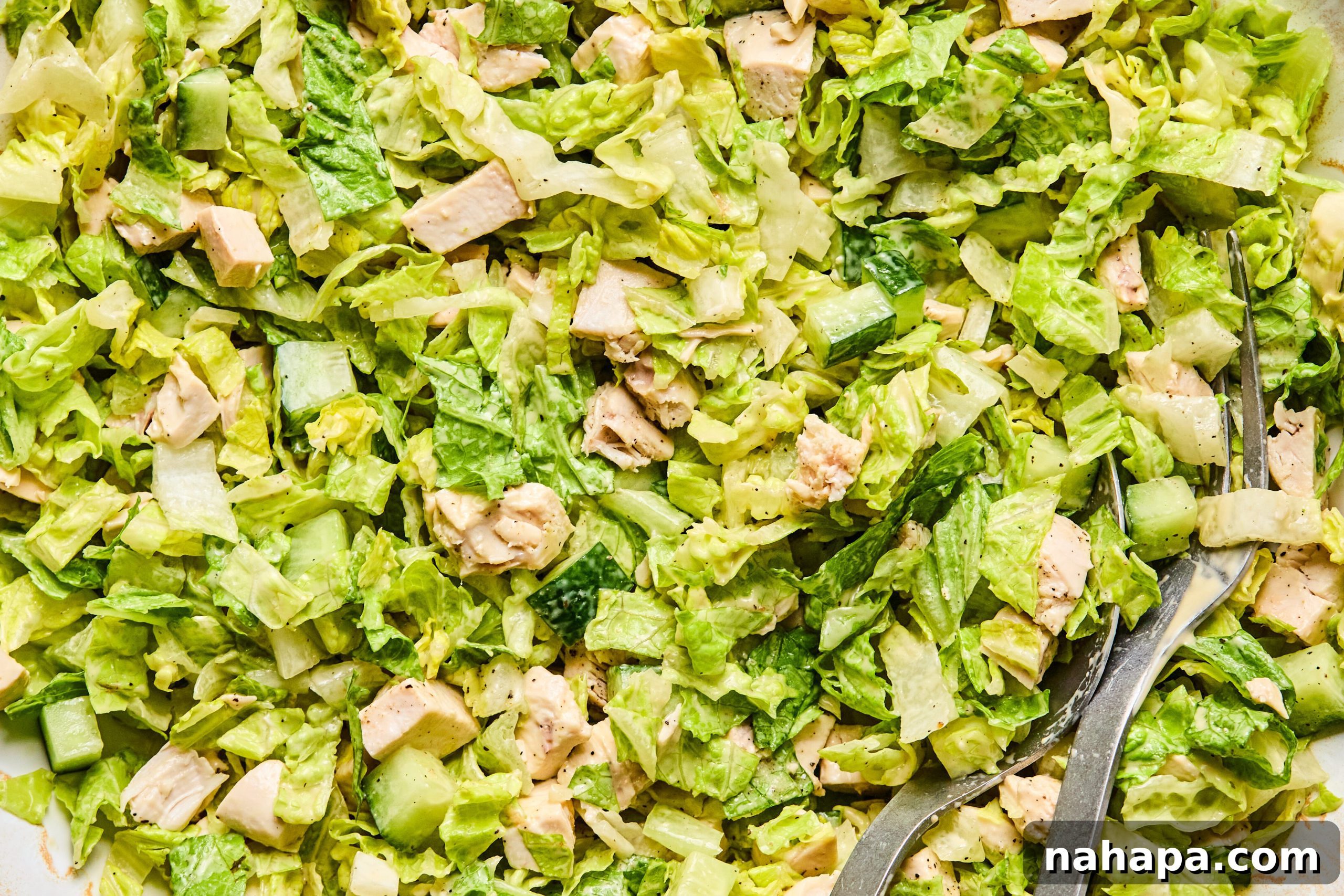 Chicken Caesar Summer Rolls 8 The chicken caesar salad mixed with the dressing in a large bowl.