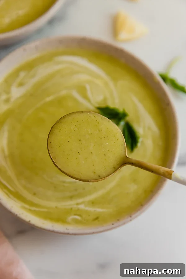 Up close spoonful of zucchini soup