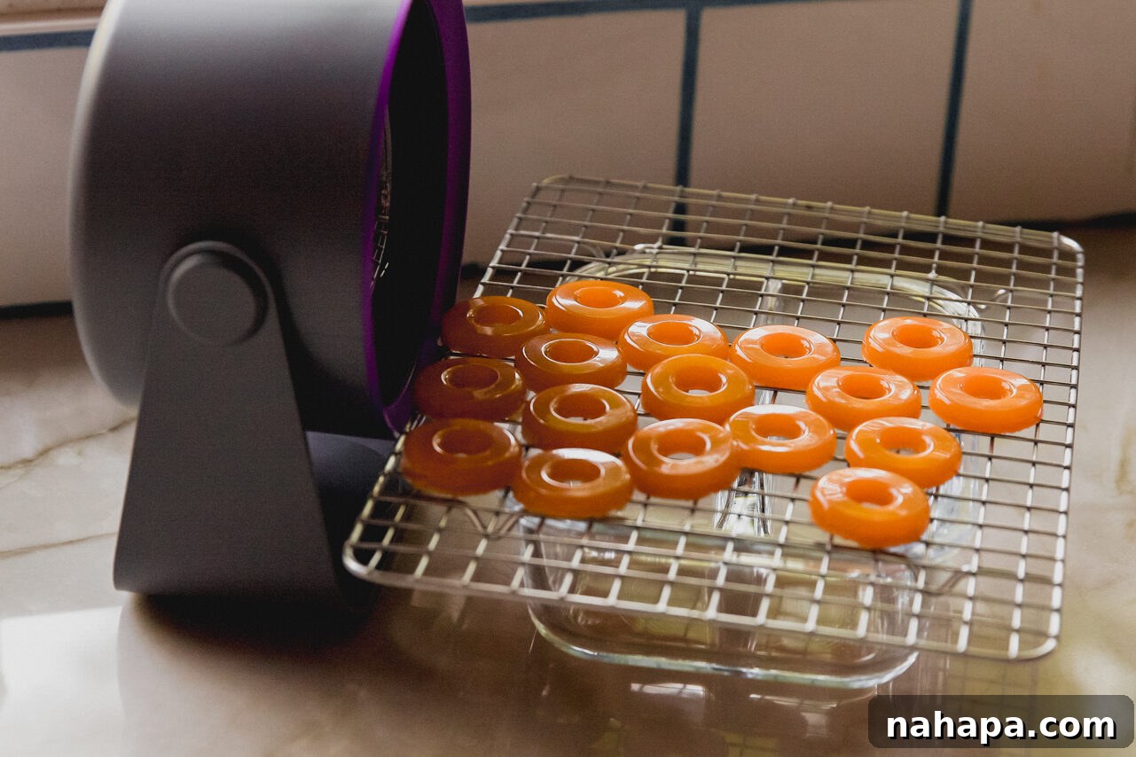 Peachy Protein Rings 8 Protein peach rings drying on a wire rack with a fan positioned nearby to enhance air circulation.