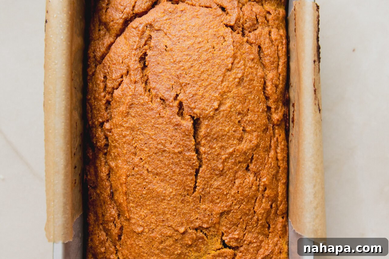 Spiced Almond Pumpkin Bread 8 Beautifully baked pumpkin bread still in the loaf pan, cooling on a rack, ready for glazing.