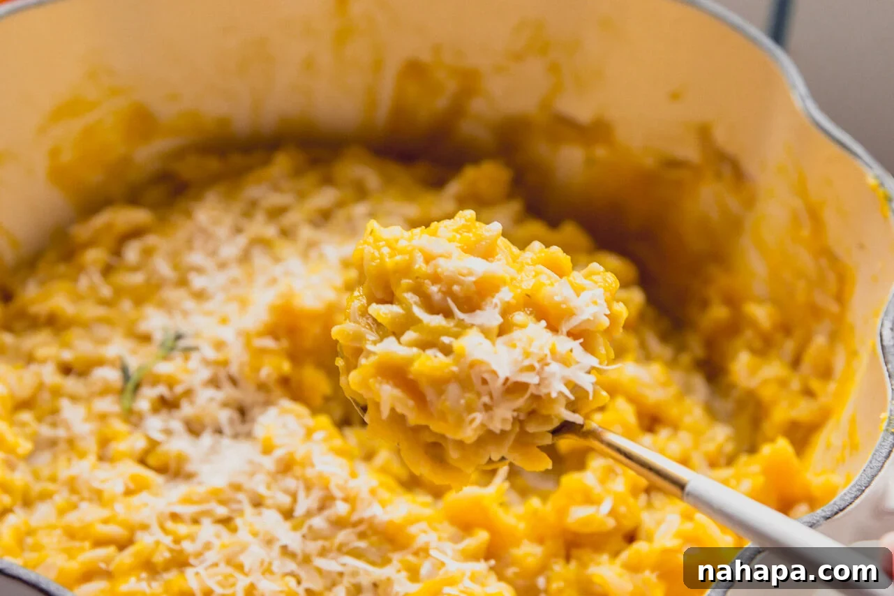 A serving of finished pumpkin orzo pasta, creamy and orange, topped generously with grated Pecorino cheese and fresh thyme leaves.