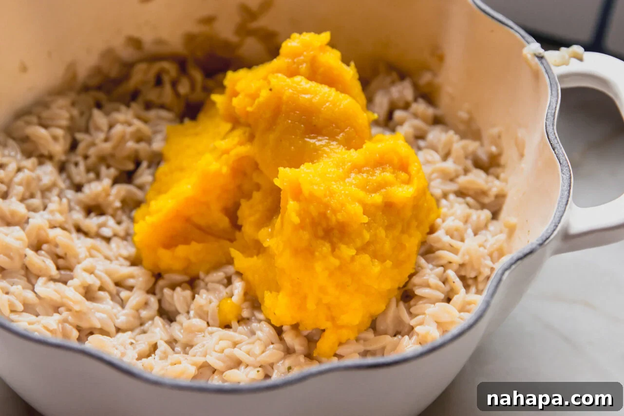 The cooked orzo pasta in a pot, with a vibrant orange mound of pumpkin puree added on top, ready to be stirred together.