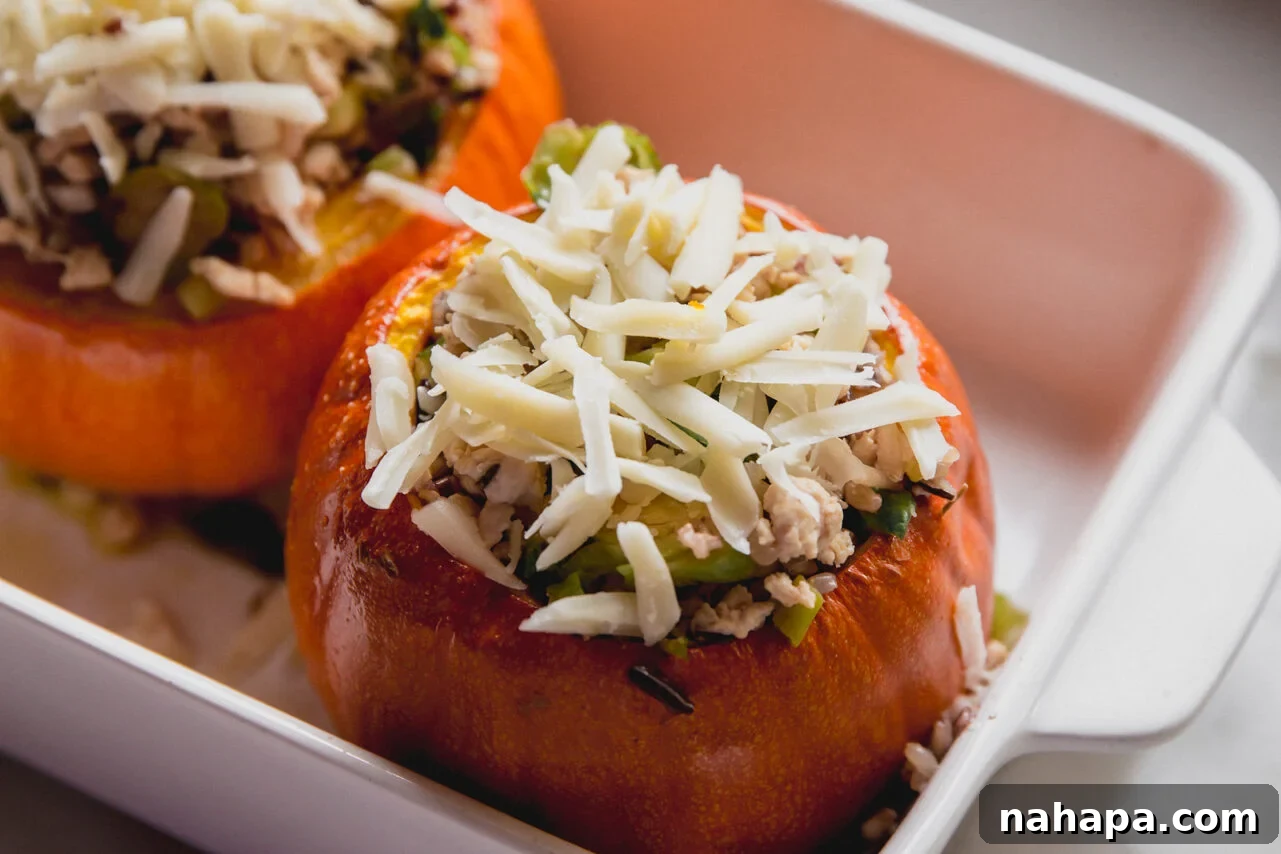 Stuffed pumpkins with shredded cheese on top, ready for final baking.
