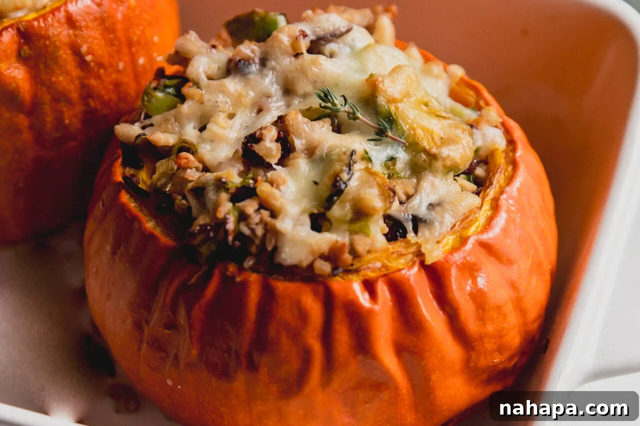 Golden-brown stuffed pumpkins with melted cheese on top, freshly baked and ready to serve.