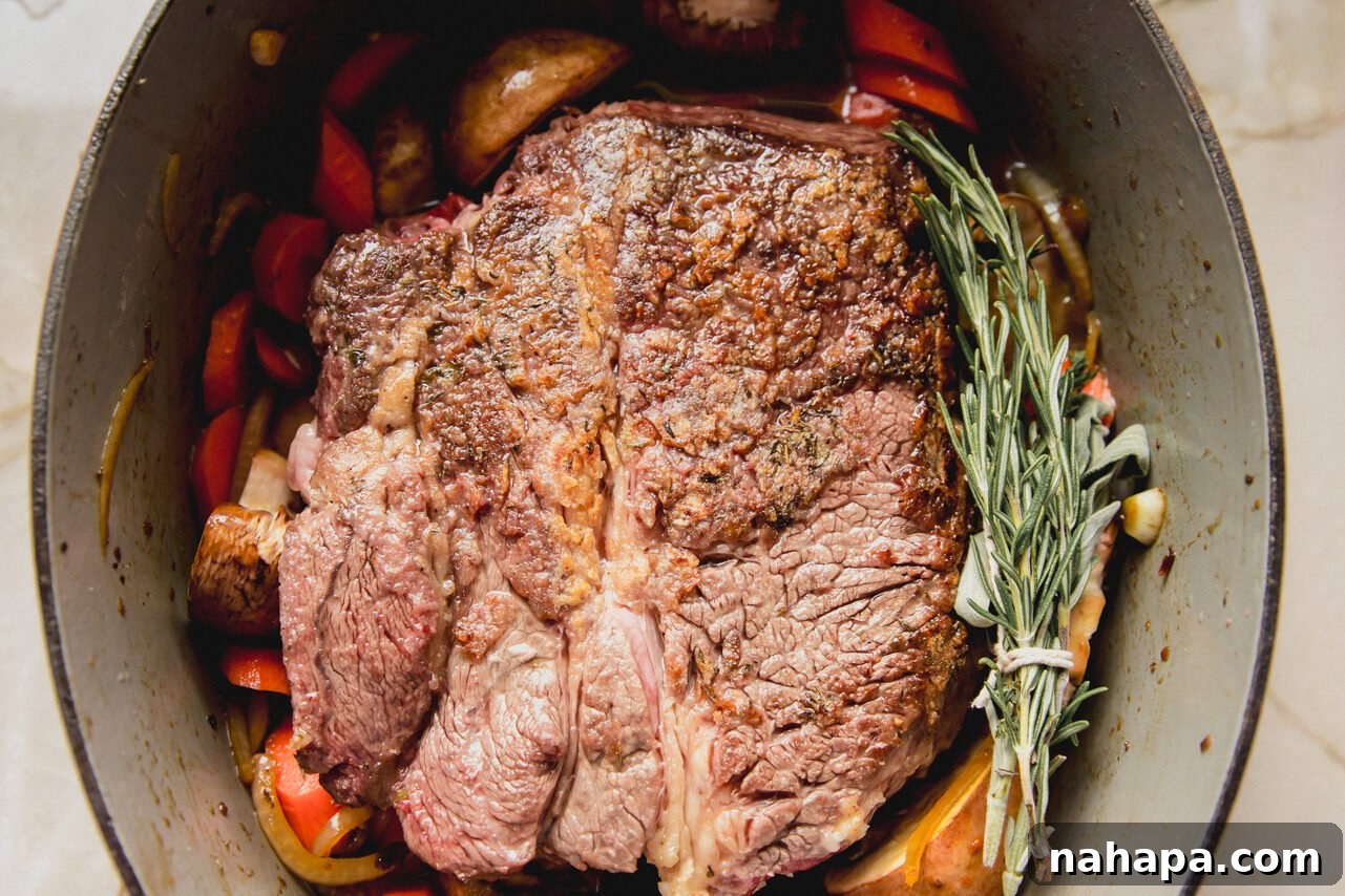 The seared chuck roast placed back into the pot with sautéed vegetables and liquid.