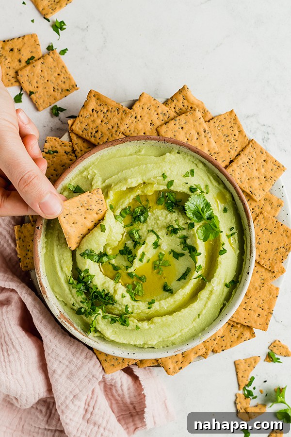 A cracker delicately dipping into a bowl of creamy avocado hummus, showcasing its inviting texture and readiness for enjoyment.
