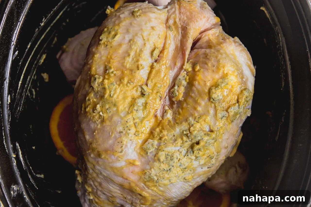Tender Maple Dijon Slow Cooker Turkey Breast 5 Raw turkey breast prepared with ghee and mustard rub, placed in a slow cooker over aromatics, ready for cooking.
