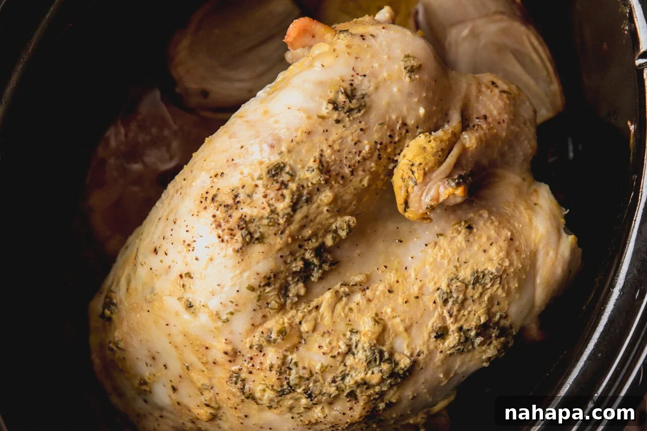 Tender Maple Dijon Slow Cooker Turkey Breast 6 The fully cooked turkey breast still in the slow cooker, golden and tender, before being transferred for broiling.