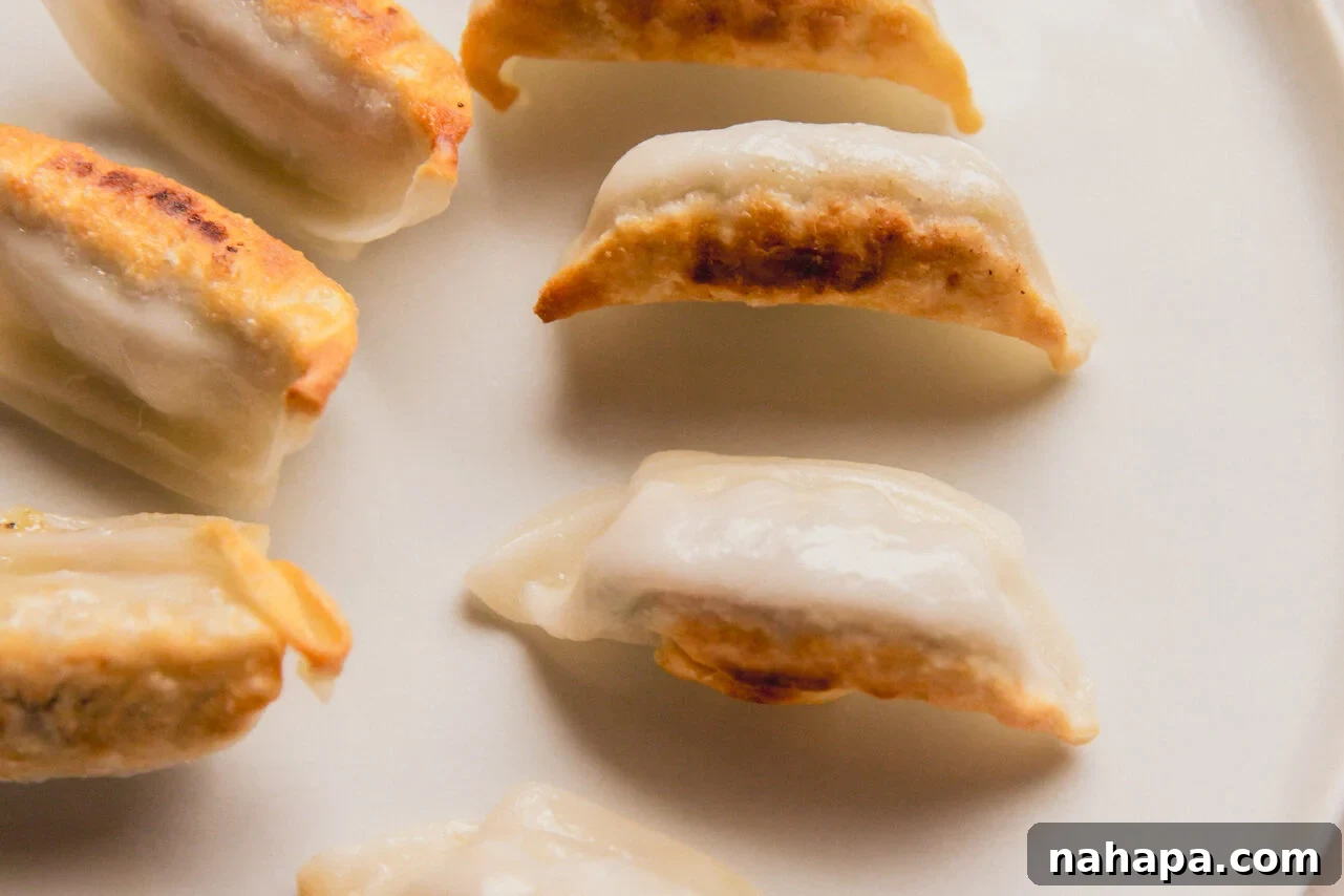 Six perfectly browned potstickers resting on a white plate after being cooked, ready to be added to the soup.