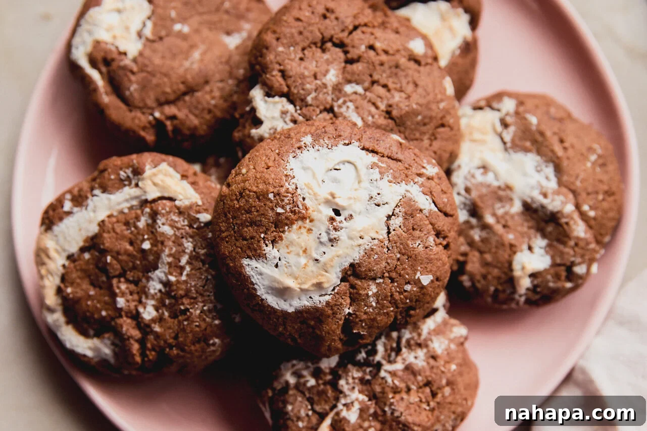 A stack of golden-brown chocolate marshmallow fluff cookies, topped with flaky sea salt, enticingly arranged on a pink plate, ready to be enjoyed.