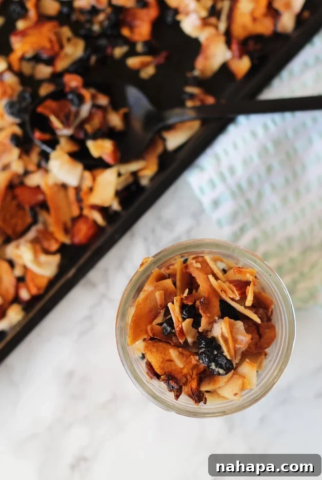 A close-up shot of Grain Free Blueberry Coconut Granola (Paleo & AIP) on a baking sheet.