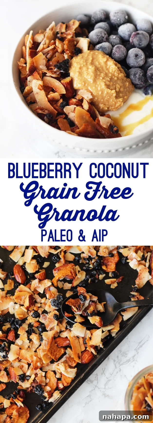 A vibrant display of Grain Free Blueberry Coconut Granola (Paleo & AIP) ingredients and the finished product.