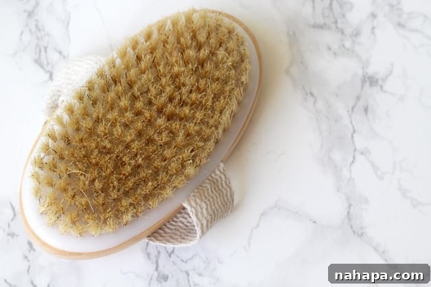 A dry brush sitting on a counter.