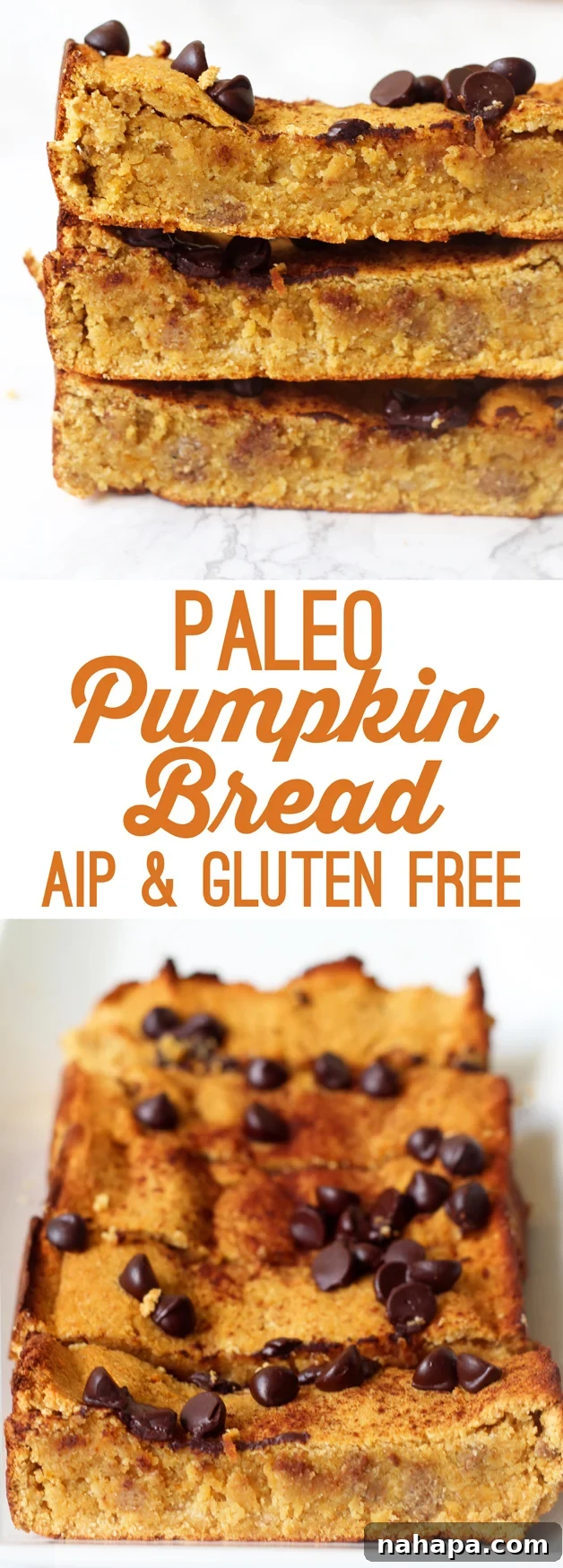 Paleo Chocolate Chip Pumpkin Bread (AIP, Gluten Free) - A tall, appealing loaf with chocolate chips, perfect for pinning on Pinterest and sharing healthy fall recipes.